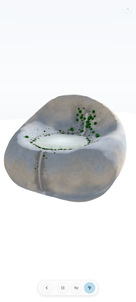 Ecosystem Genesis: Initial stone reservoir, capillary moisture diffusion, and young moss spore germination